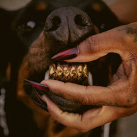 Leon Thomas III - Mutt Deluxe: Heel