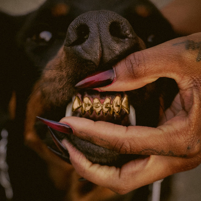 Leon Thomas III - Mutt Deluxe: Heel