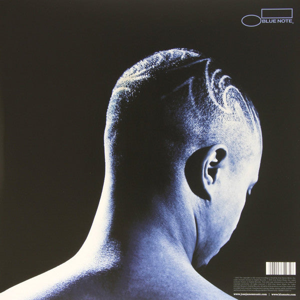 José James - No Beginning No End