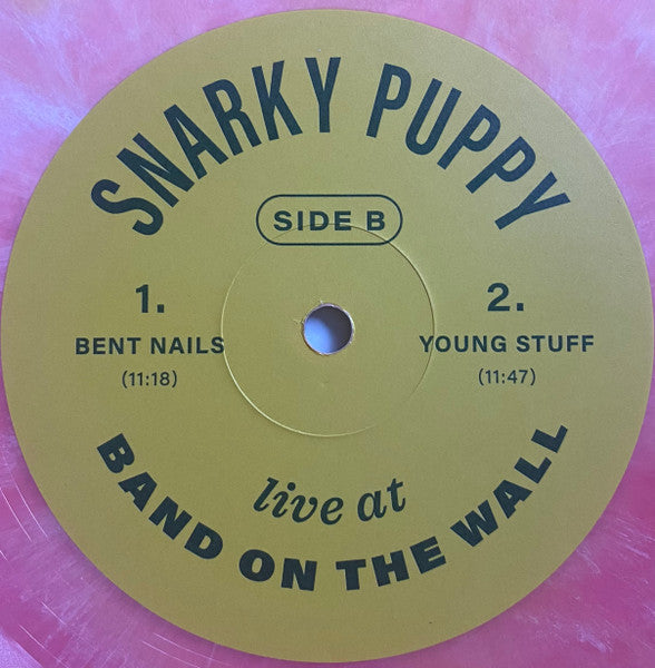 Snarky Puppy - Live At Band On The Wall