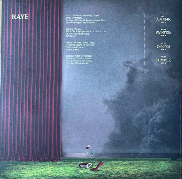 Raye - This Music May Contain Hope.