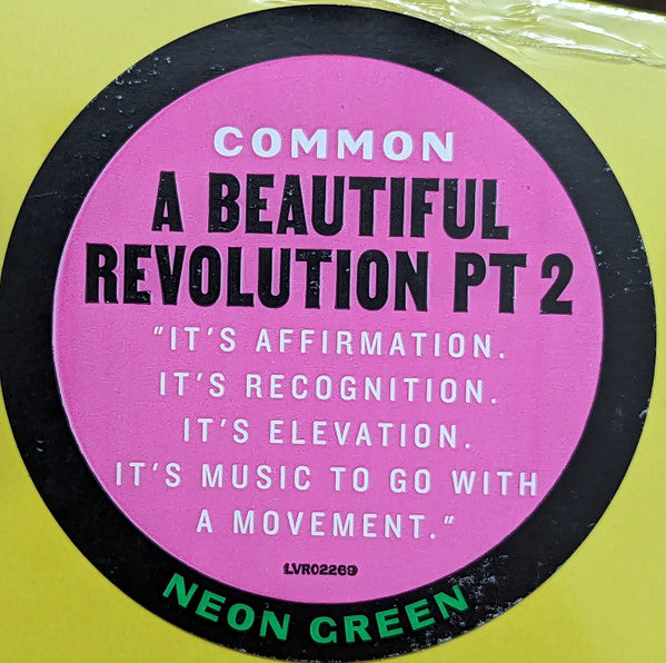 Common - A Beautiful Revolution Pt 2