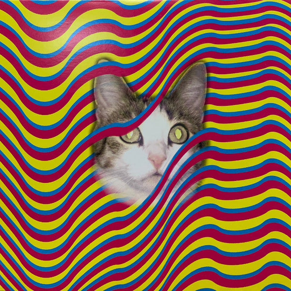 Thundercat - Drunk