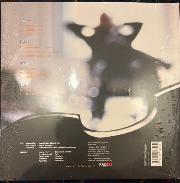 Avishai Cohen Trio, Avishai Cohen Ensemble - At Home