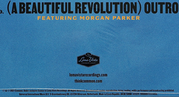 Common - A Beautiful Revolution (Pt 1)