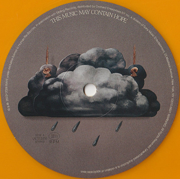 Raye - This Music May Contain Hope.