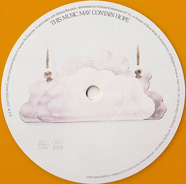 Raye - This Music May Contain Hope.