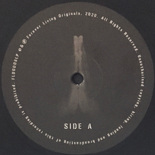 Sault - Untitled (Rise)