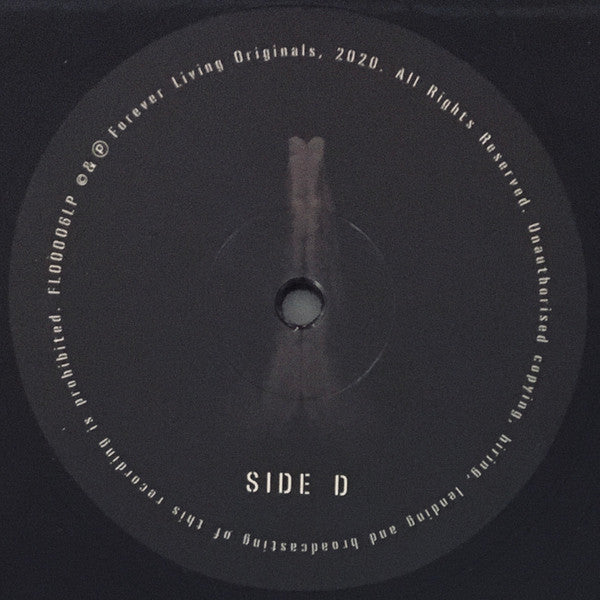 Sault - Untitled (Rise)