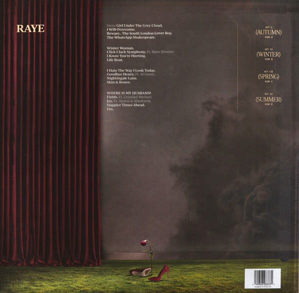 Raye - This Music May Contain Hope.