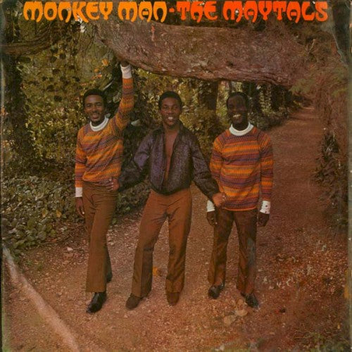 Albumhoes