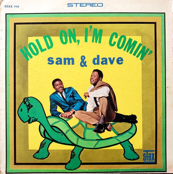 Albumhoes