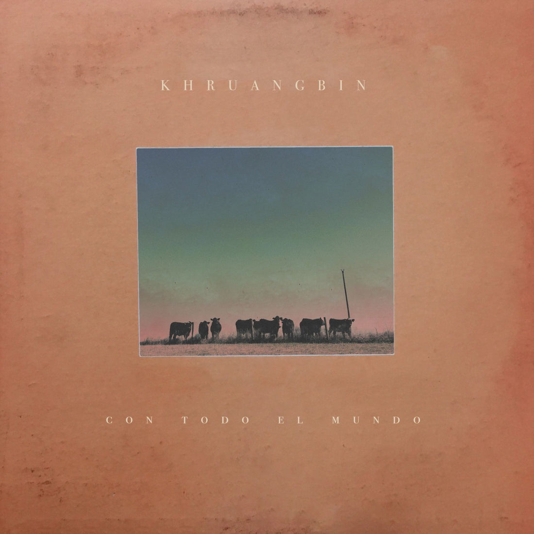Albumhoes