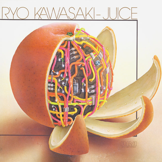 Ryo Kawasaki - Juice